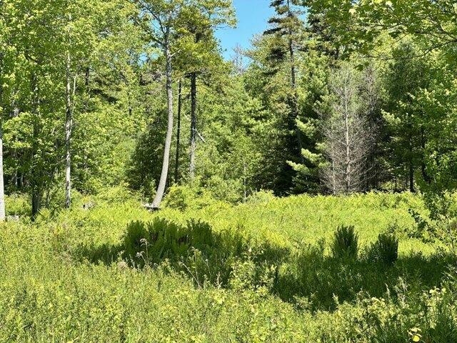 Land for sale in South Thomaston, Maine