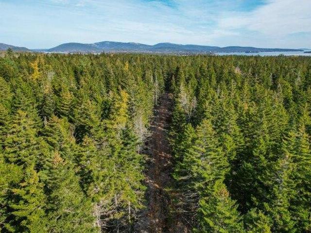 Land for sale in Southwest Harbor, Maine
