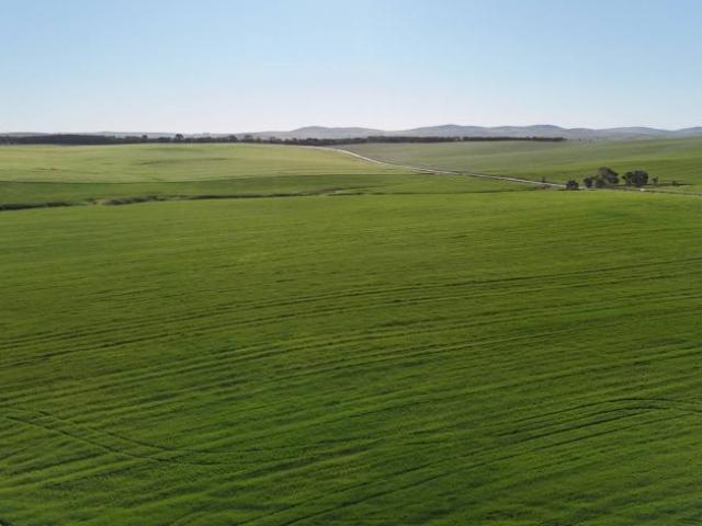 Land for sale in Spalding, Northern Areas Council