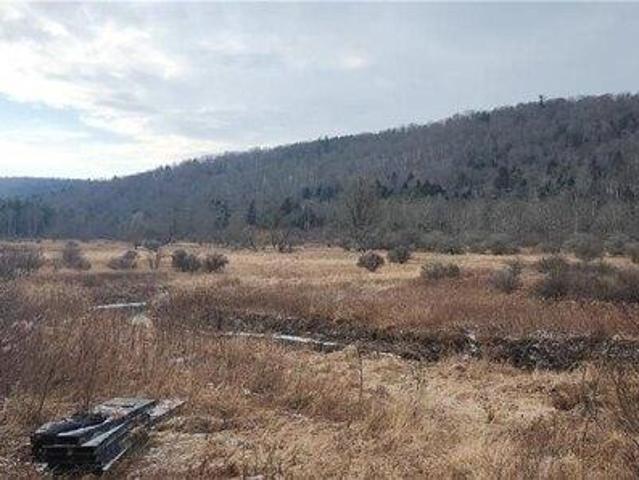 Land for sale in Spencer, New York
