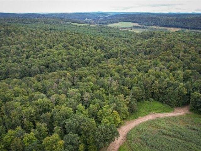 Land for sale in Spencer, New York