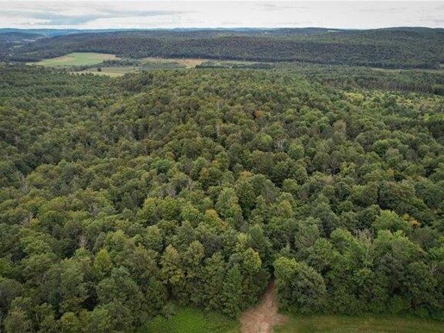 Land for sale in Spencer, New York