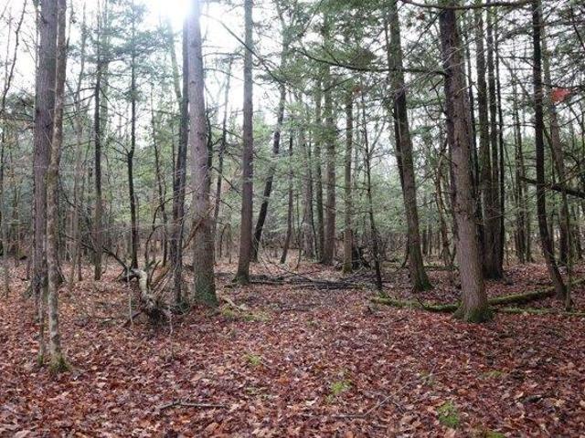 Land for sale in Carlisle, New York