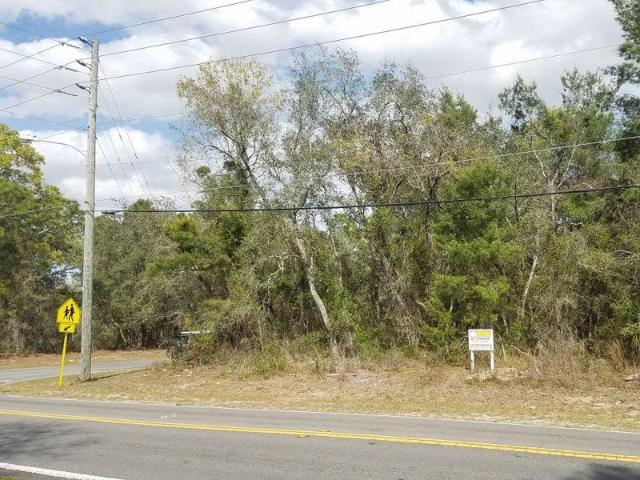 Land for sale in Spring Hill, Florida
