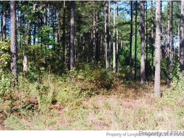 Land for sale in Spring Lake, North Carolina