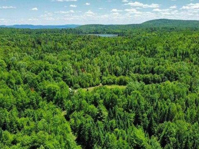 Land for sale in Springfield, Maine