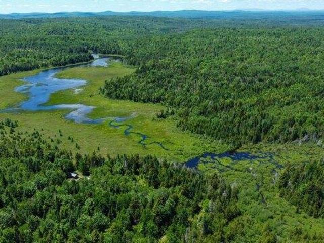 Land for sale in Springfield, Maine