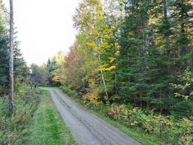 Land for sale in Springfield, Penobscot County