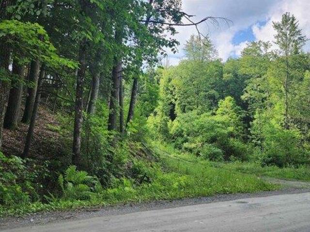 Land for sale in Springfield, Vermont