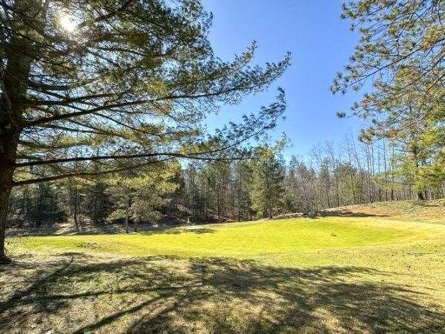 Land for sale in Spruce, Michigan