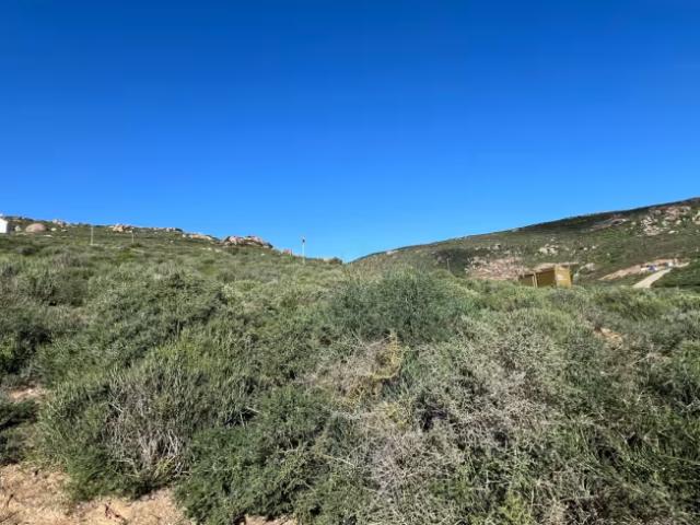 Land for sale