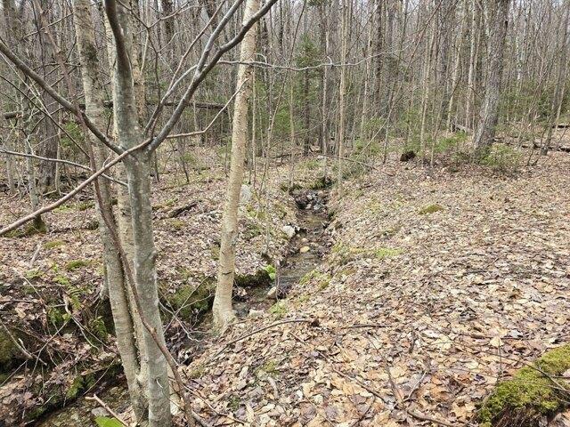 Land for sale in Bennington, Vermont