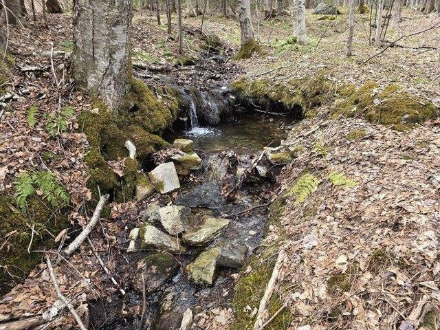 Land for sale in Bennington, Vermont