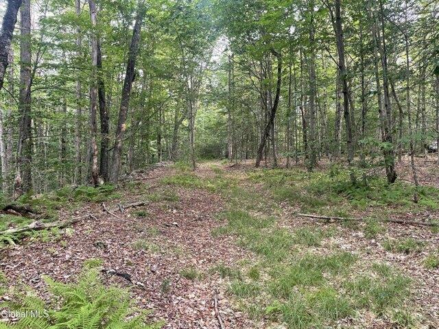 Land for sale in Stephentown, New York