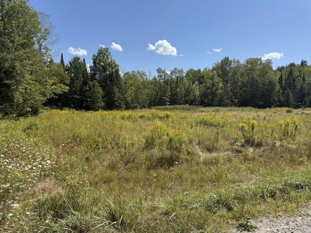 Land for sale in Stetson, Maine