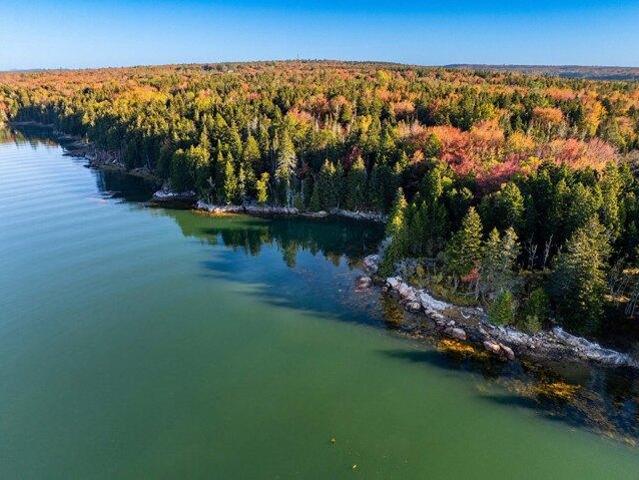 Land for sale in Steuben, Maine