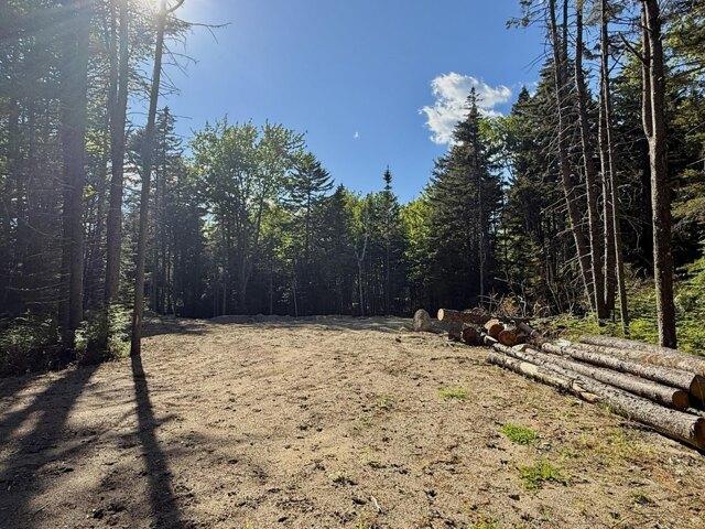 Land for sale in Steuben, Maine
