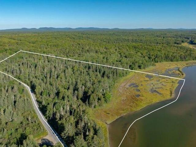 Land for sale in Steuben, Maine