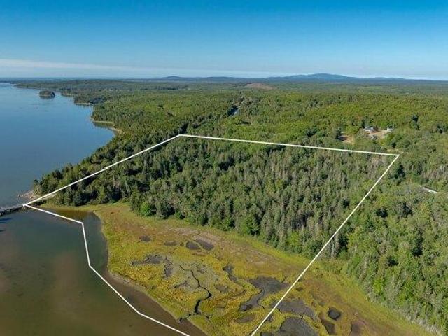 Land for sale in Steuben, Maine