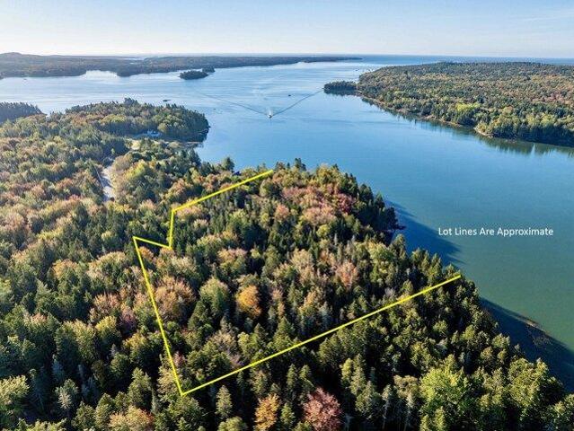 Land for sale in Steuben, Maine