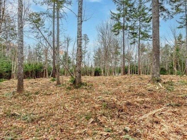 Land for sale in Steuben, Maine