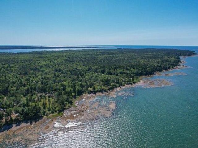 Land for sale in Steuben, Maine