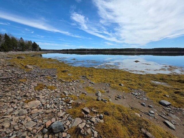 Land for sale in Steuben, Maine