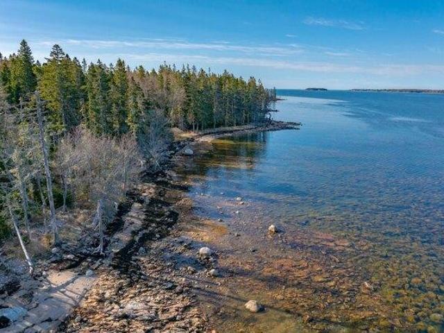 Land for sale in Steuben, Maine