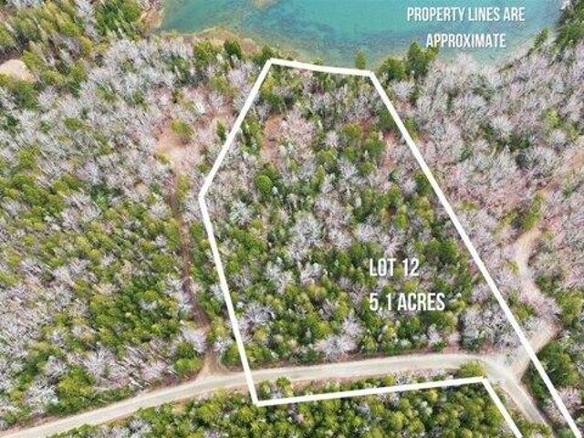 Land for sale in Steuben, Washington County
