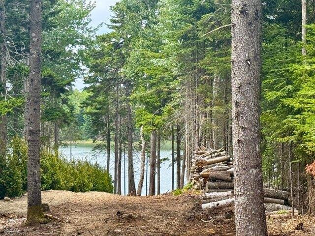 Land for sale in Steuben, Washington County