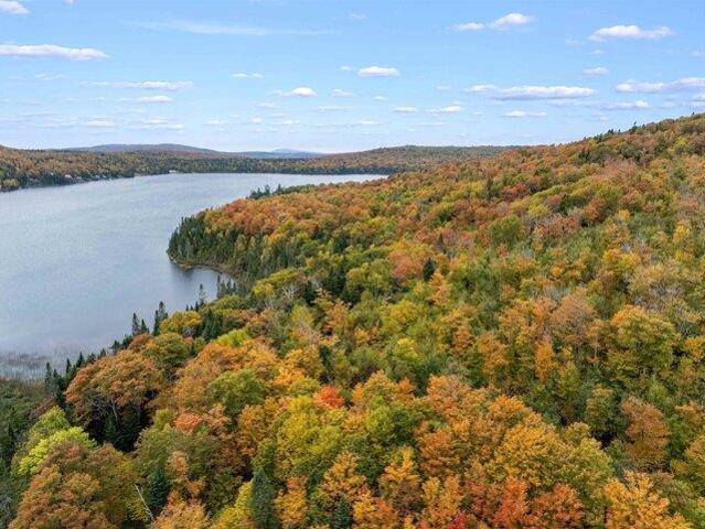 Land for sale in New Hampshire