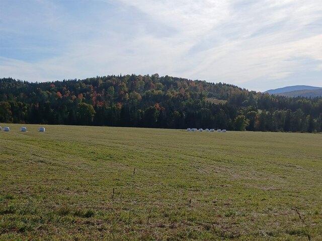 Land for sale in Stewartstown, Coös County