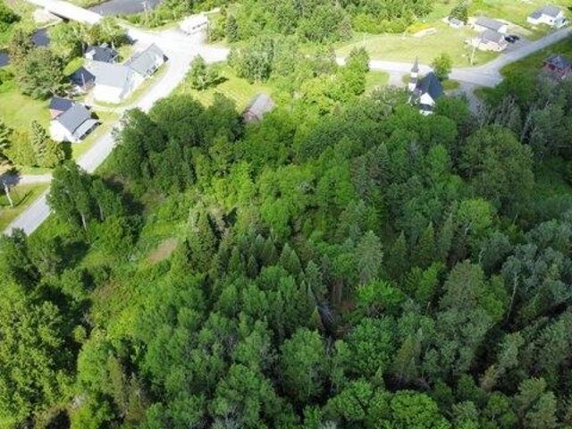 Land for sale in Stockholm, Maine