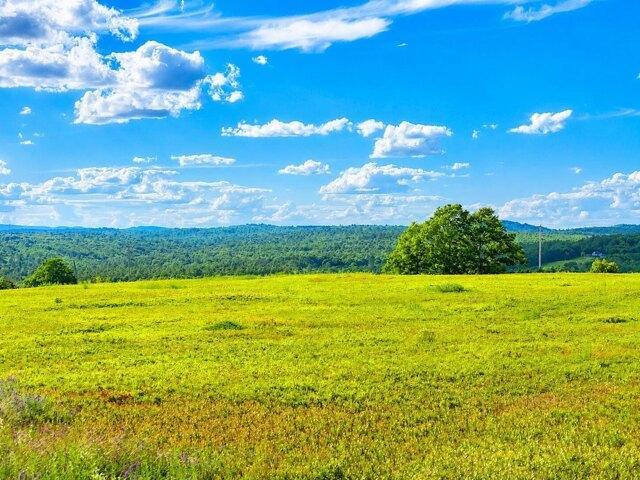 Land for sale in Waldo, Maine