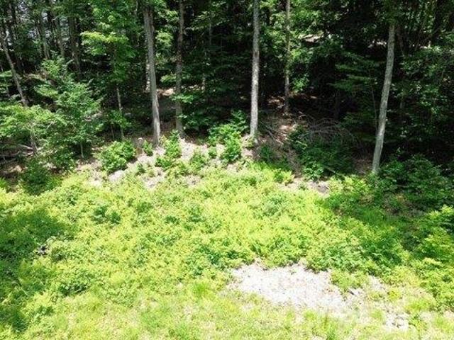 Land for sale in New Hampshire
