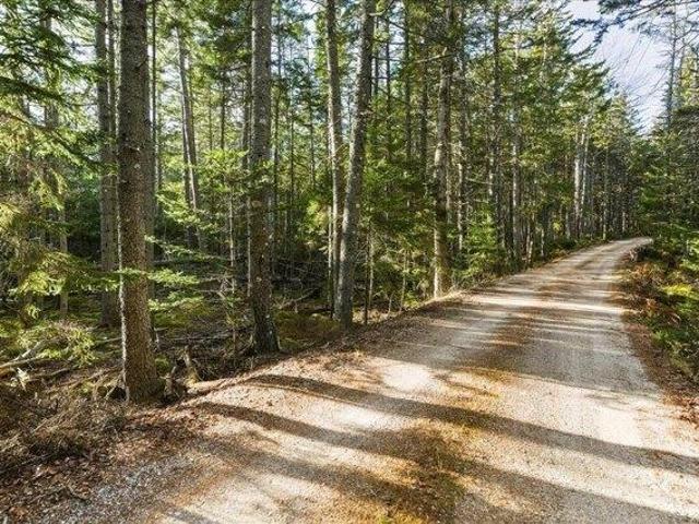 Land for sale in Stonington, Maine