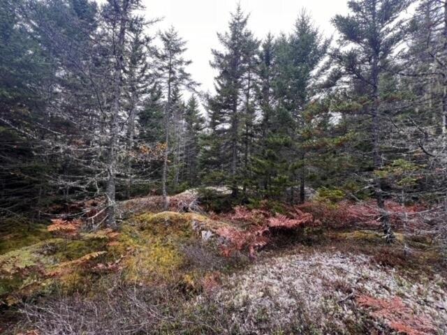 Land for sale in Stonington, Maine