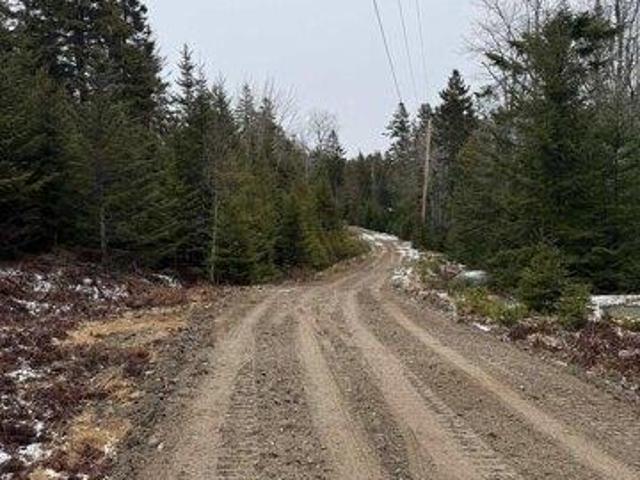 Land for sale in Stonington, Hancock County