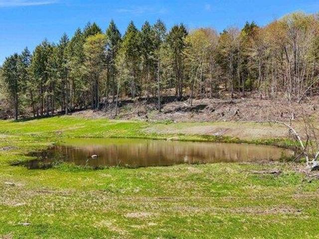 Land for sale in Stowe, Vermont