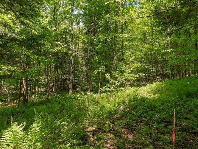 Land for sale in Stowe, Vermont