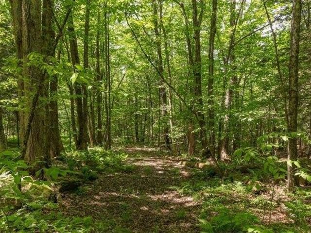 Land for sale in Stowe, Vermont
