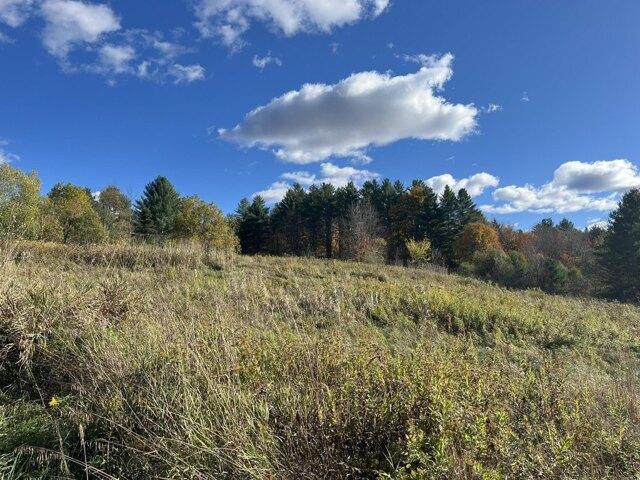Land for sale in Stowe, Vermont
