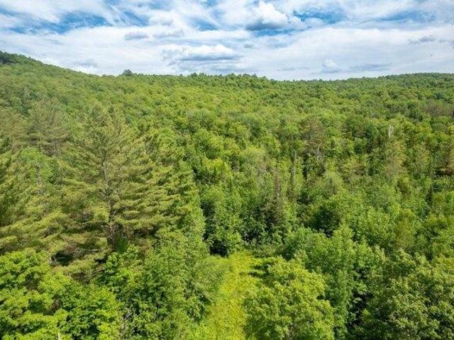 Land for sale in Strafford, Vermont