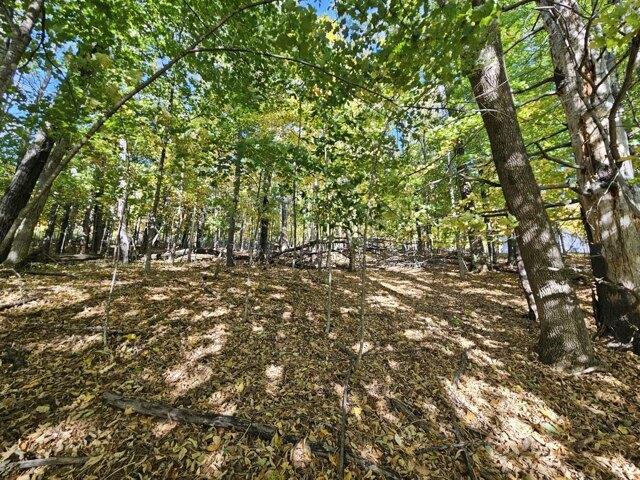 Land for sale in Strong, Maine