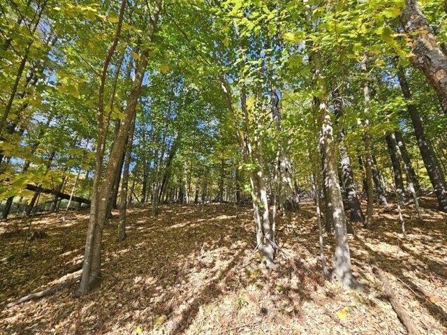 Land for sale in Strong, Maine