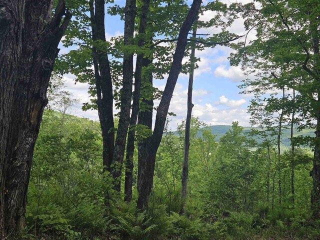 Land for sale in New Hampshire