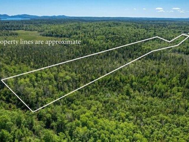 Land for sale in Sullivan, Maine