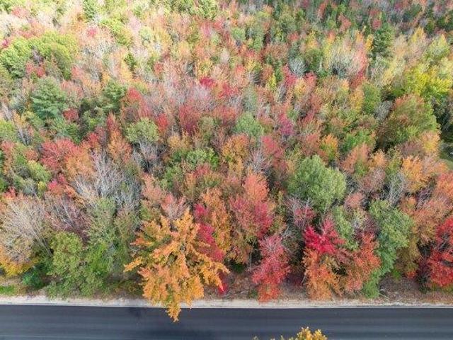 Land for sale in Sullivan, Hancock County