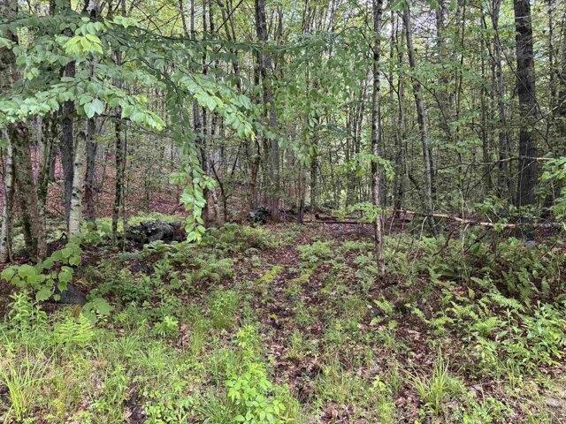 Land for sale in New Hampshire
