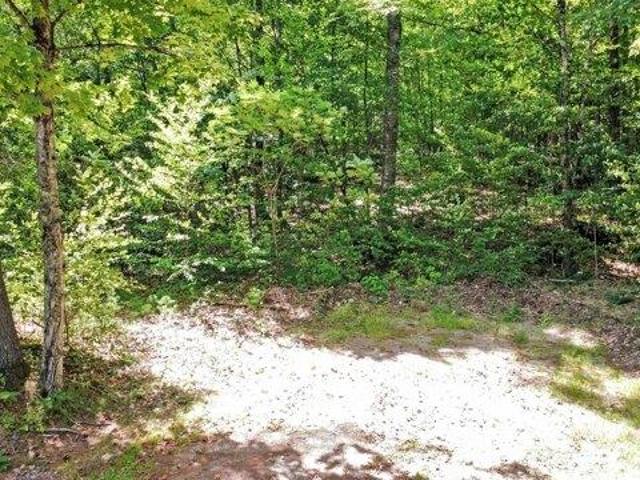 Land for sale in Peru, Maine